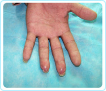 首页-BB贝博艾弗森公司官网