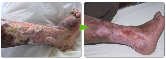 首页-BB贝博艾弗森公司官网