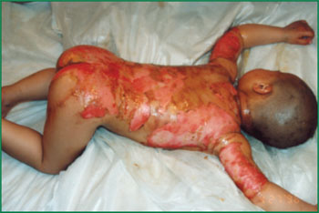 首页-BB贝博艾弗森公司官网