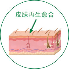 首页-BB贝博艾弗森公司官网