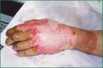 首页-BB贝博艾弗森公司官网