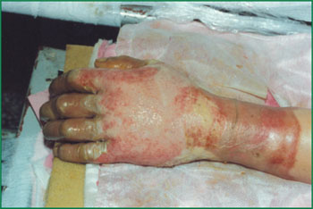 首页-BB贝博艾弗森公司官网