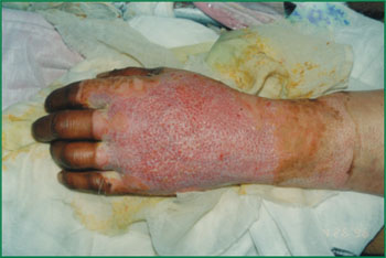 首页-BB贝博艾弗森公司官网