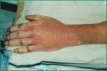 首页-BB贝博艾弗森公司官网