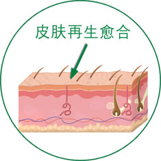 首页-BB贝博艾弗森公司官网