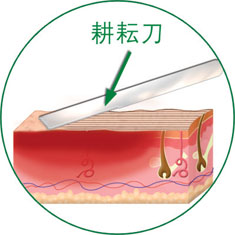 首页-BB贝博艾弗森公司官网