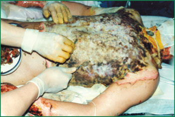 首页-BB贝博艾弗森公司官网