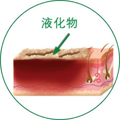 首页-BB贝博艾弗森公司官网