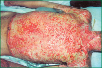 首页-BB贝博艾弗森公司官网