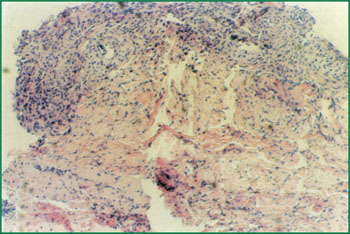 首页-BB贝博艾弗森公司官网