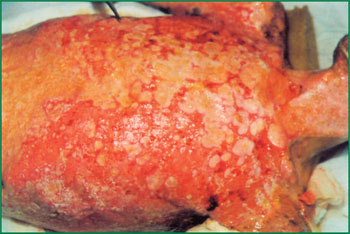 首页-BB贝博艾弗森公司官网