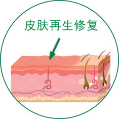 首页-BB贝博艾弗森公司官网