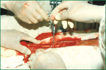 首页-BB贝博艾弗森公司官网