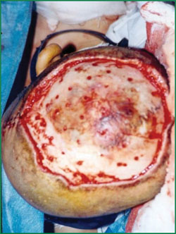 首页-BB贝博艾弗森公司官网