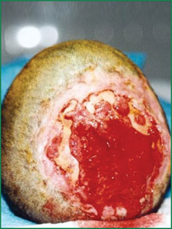 首页-BB贝博艾弗森公司官网