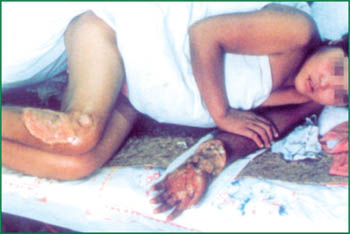 首页-BB贝博艾弗森公司官网