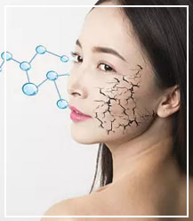 首页-BB贝博艾弗森公司官网