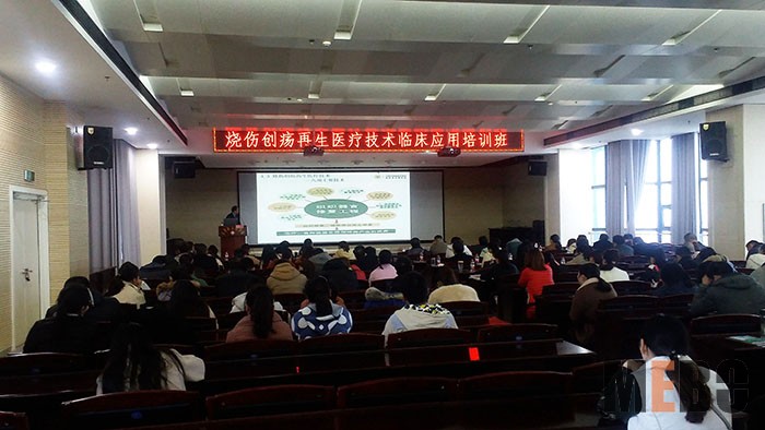 首页-BB贝博艾弗森公司官网