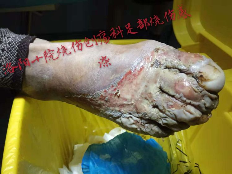 首页-BB贝博艾弗森公司官网