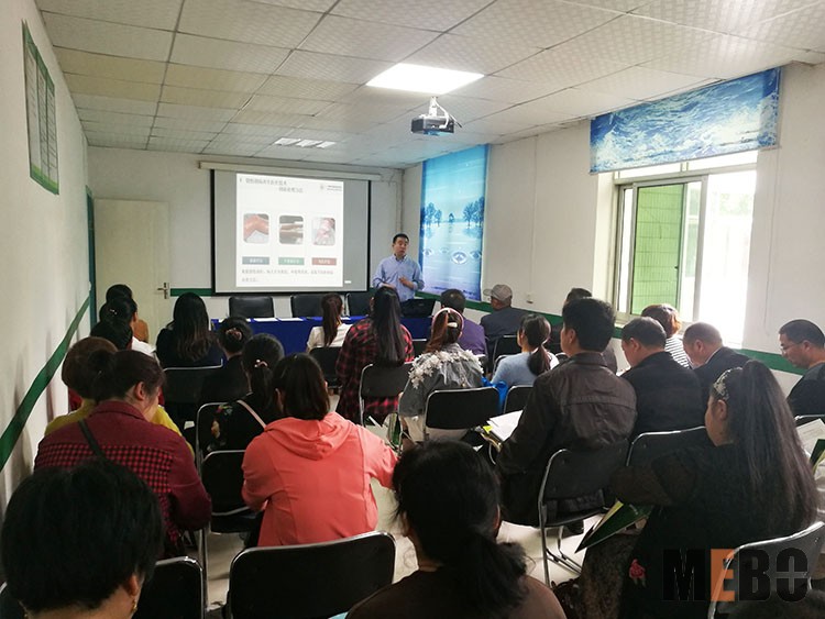 首页-BB贝博艾弗森公司官网