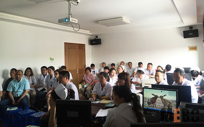 首页-BB贝博艾弗森公司官网