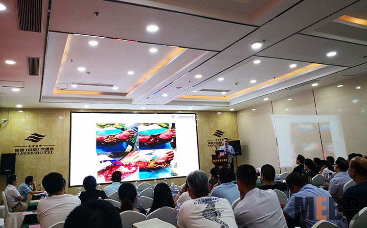 首页-BB贝博艾弗森公司官网