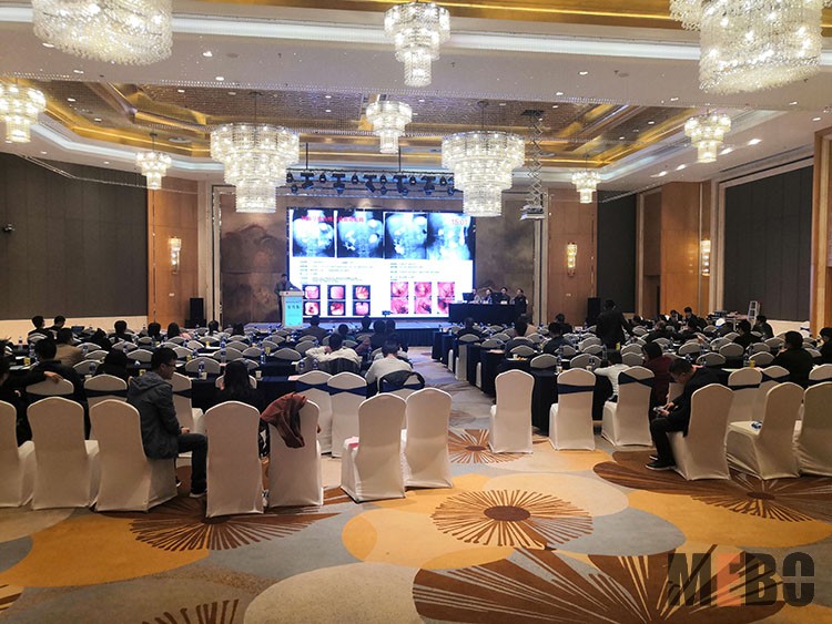 首页-BB贝博艾弗森公司官网