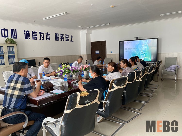 首页-BB贝博艾弗森公司官网