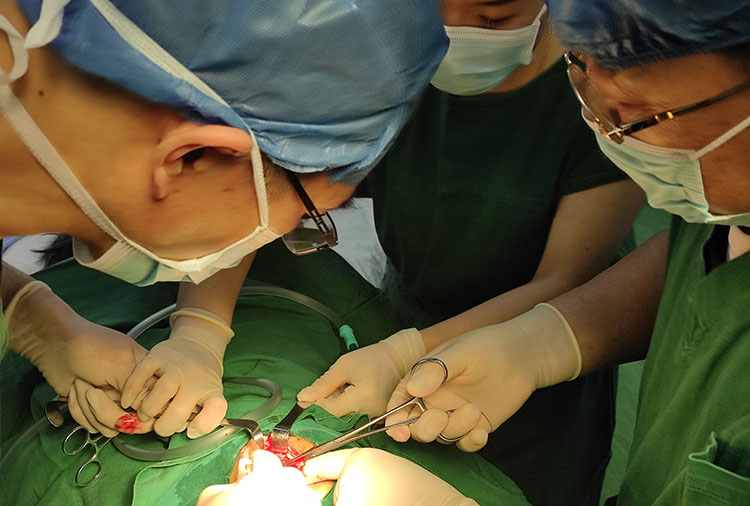 首页-BB贝博艾弗森公司官网