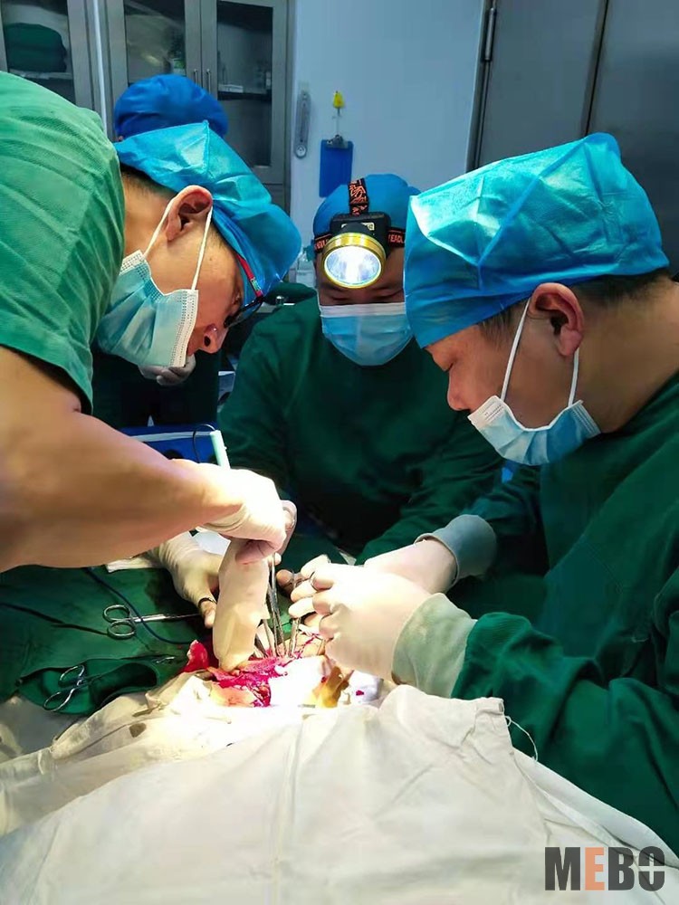 首页-BB贝博艾弗森公司官网