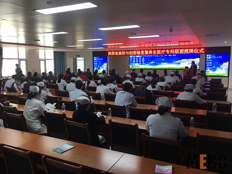 首页-BB贝博艾弗森公司官网