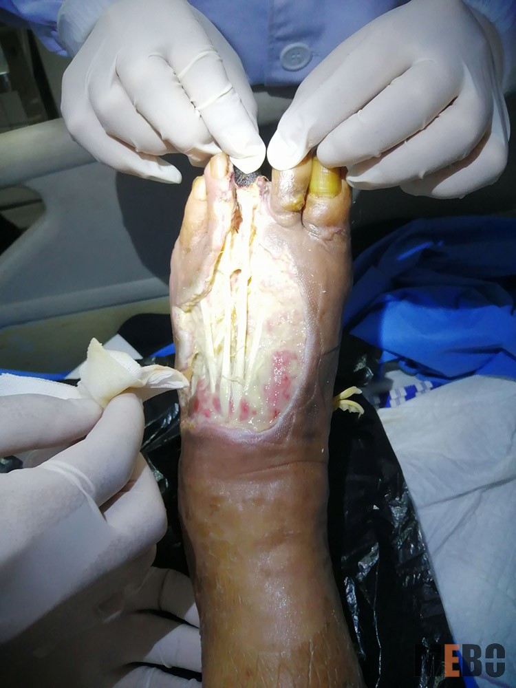 首页-BB贝博艾弗森公司官网