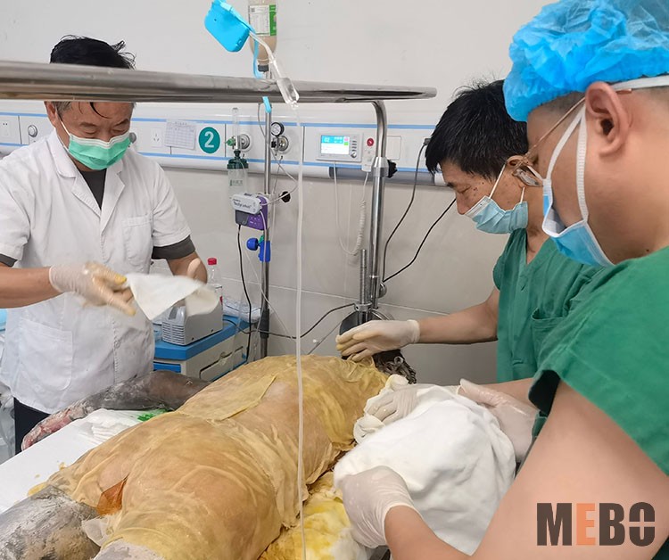 首页-BB贝博艾弗森公司官网