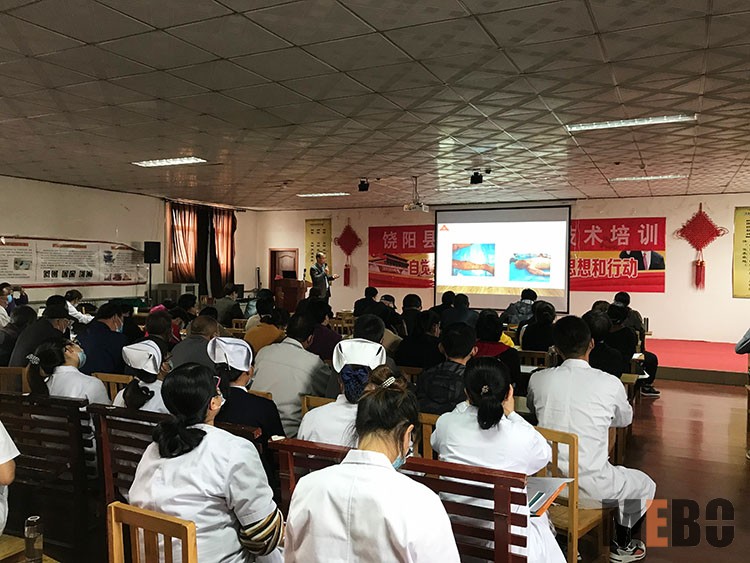 首页-BB贝博艾弗森公司官网