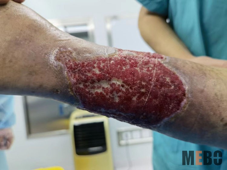 首页-BB贝博艾弗森公司官网