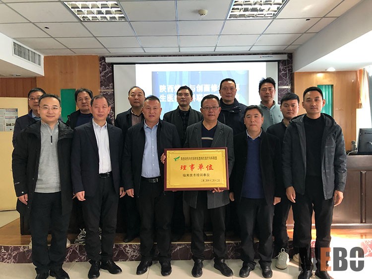 首页-BB贝博艾弗森公司官网