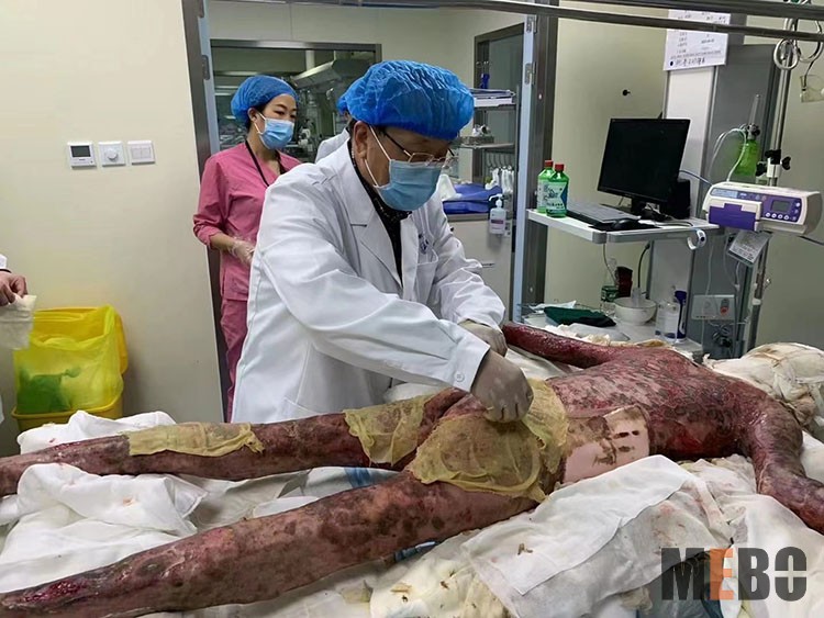 首页-BB贝博艾弗森公司官网