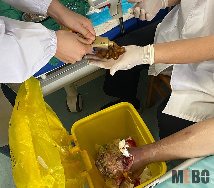 首页-BB贝博艾弗森公司官网