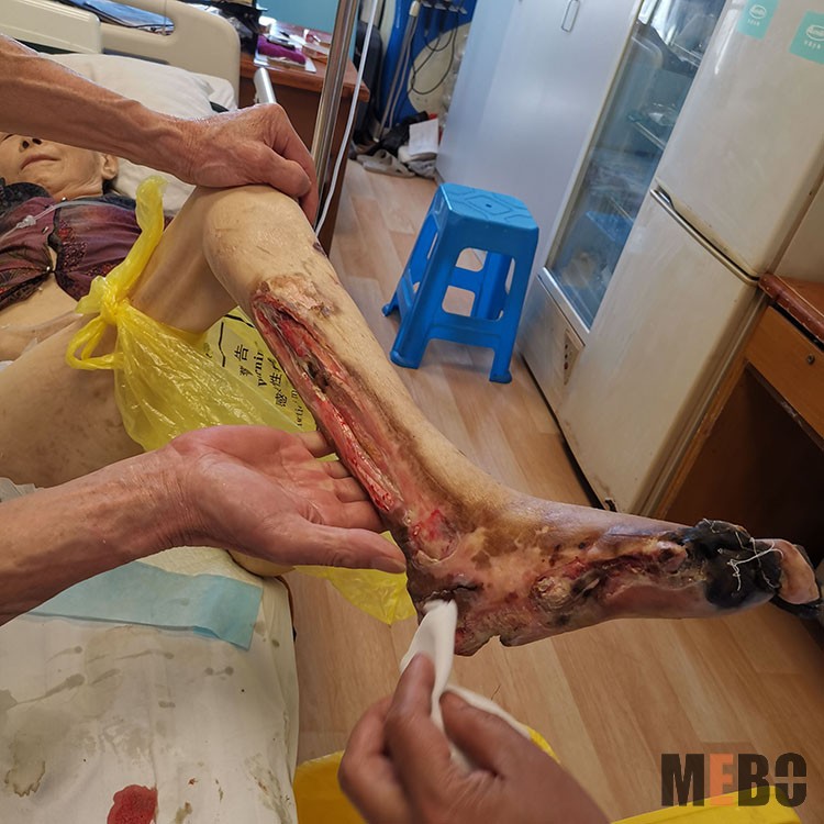 首页-BB贝博艾弗森公司官网