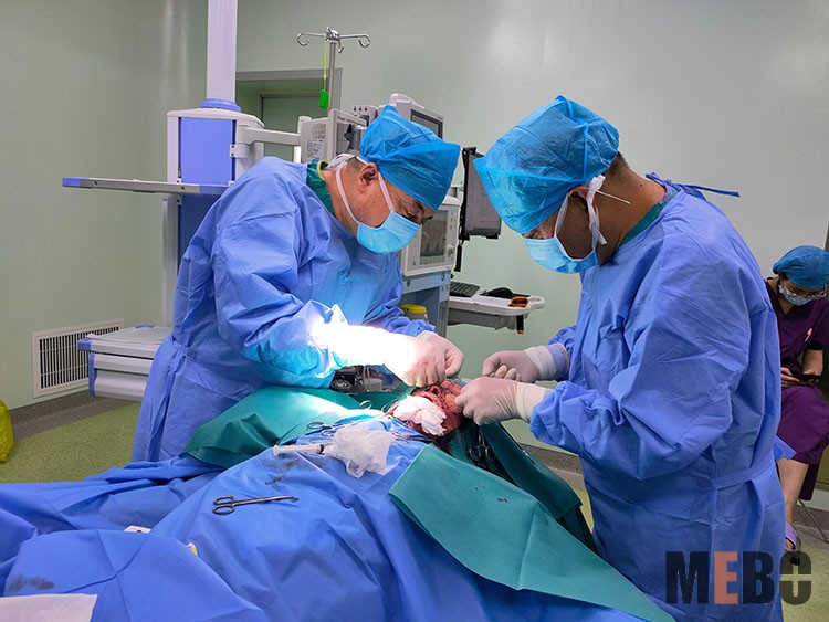 首页-BB贝博艾弗森公司官网