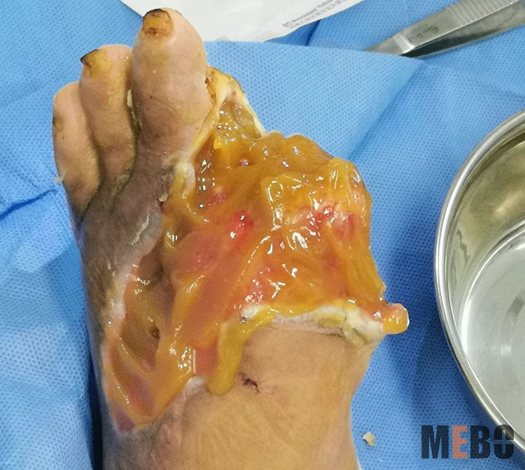 首页-BB贝博艾弗森公司官网