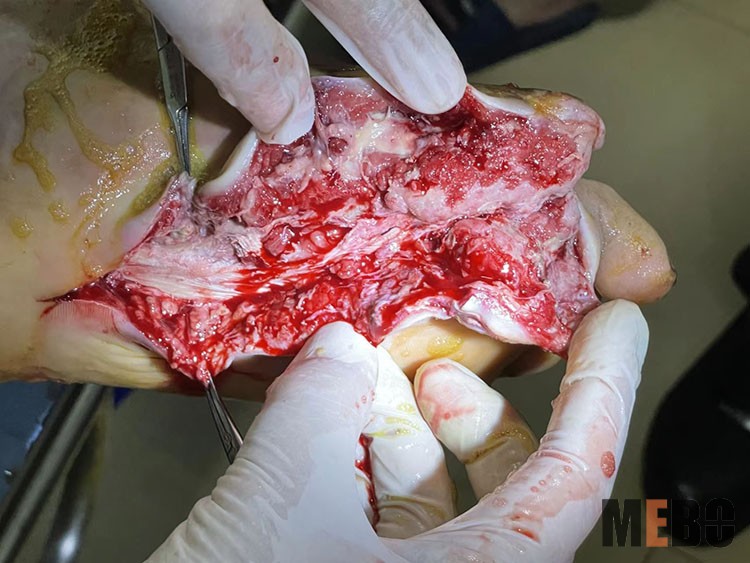 首页-BB贝博艾弗森公司官网