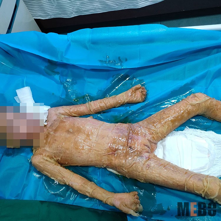 首页-BB贝博艾弗森公司官网