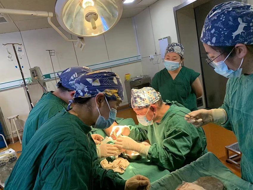 首页-BB贝博艾弗森公司官网