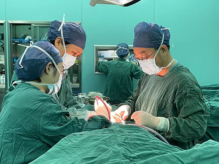 首页-BB贝博艾弗森公司官网