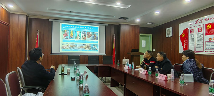 首页-BB贝博艾弗森公司官网