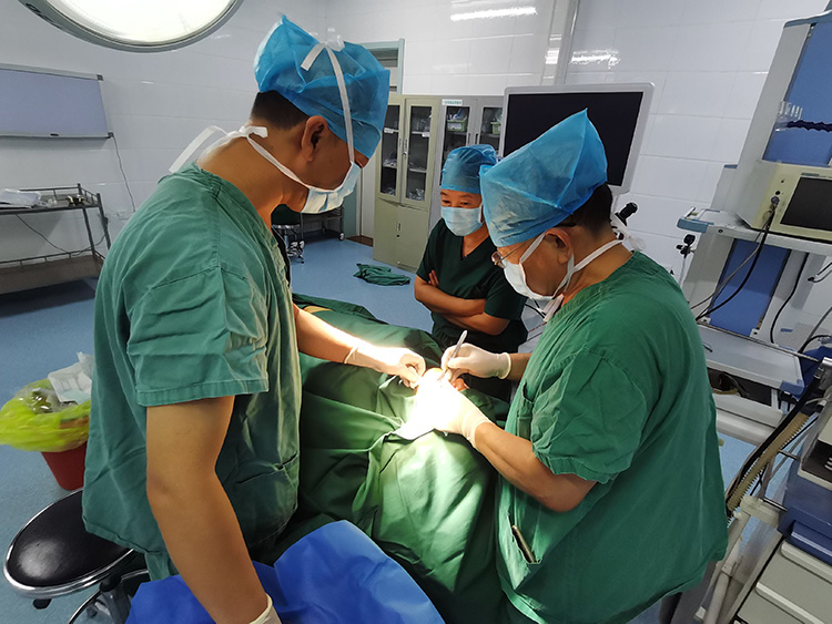 首页-BB贝博艾弗森公司官网