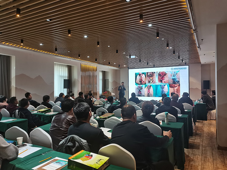 首页-BB贝博艾弗森公司官网