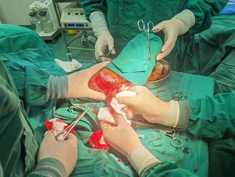 首页-BB贝博艾弗森公司官网