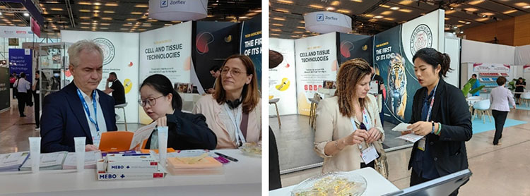 首页-BB贝博艾弗森公司官网